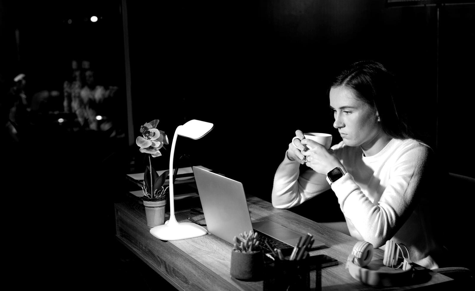 Sesión personalizada de desarrollo de ideas de negocio